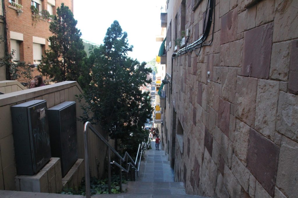Narrow stair lane framed by wall texture, greenery, and descending urban depth.