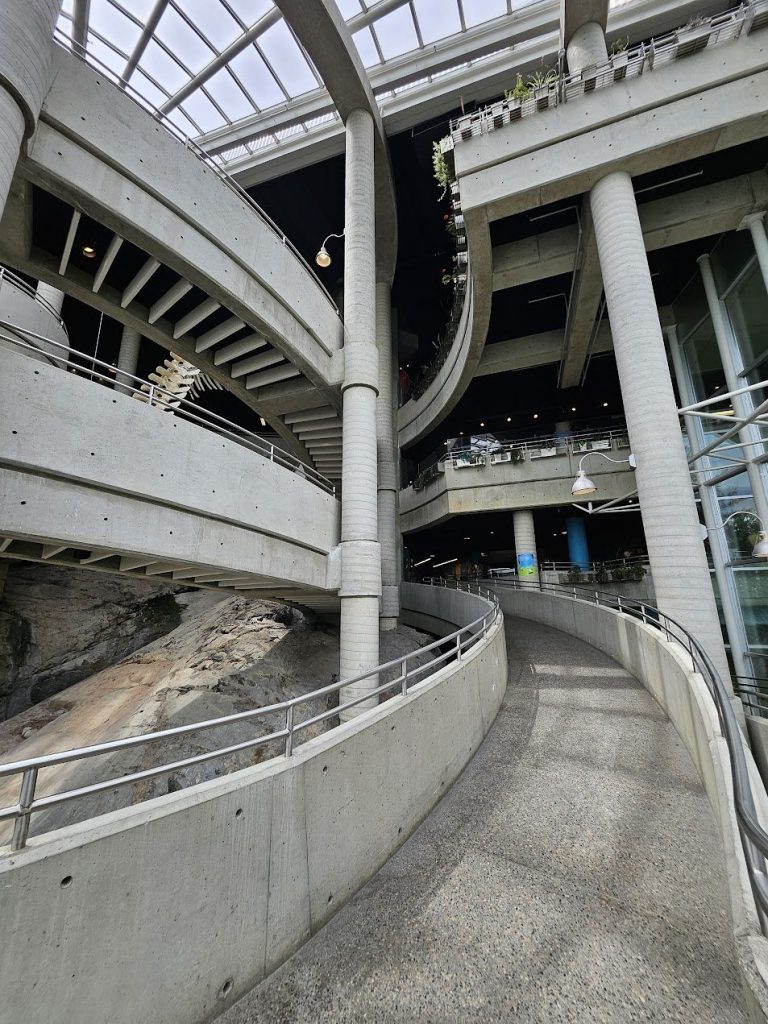 Curved concrete ramp shaping movement through a vertical atrium interior.