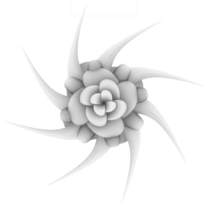 Plan diagram translating flower volume into spatial organization.